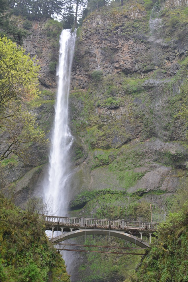 Multnomah Falls Image
