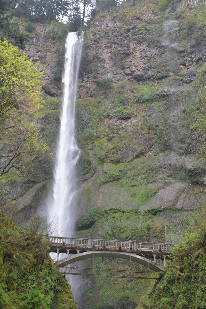 Multnomah Falls Image