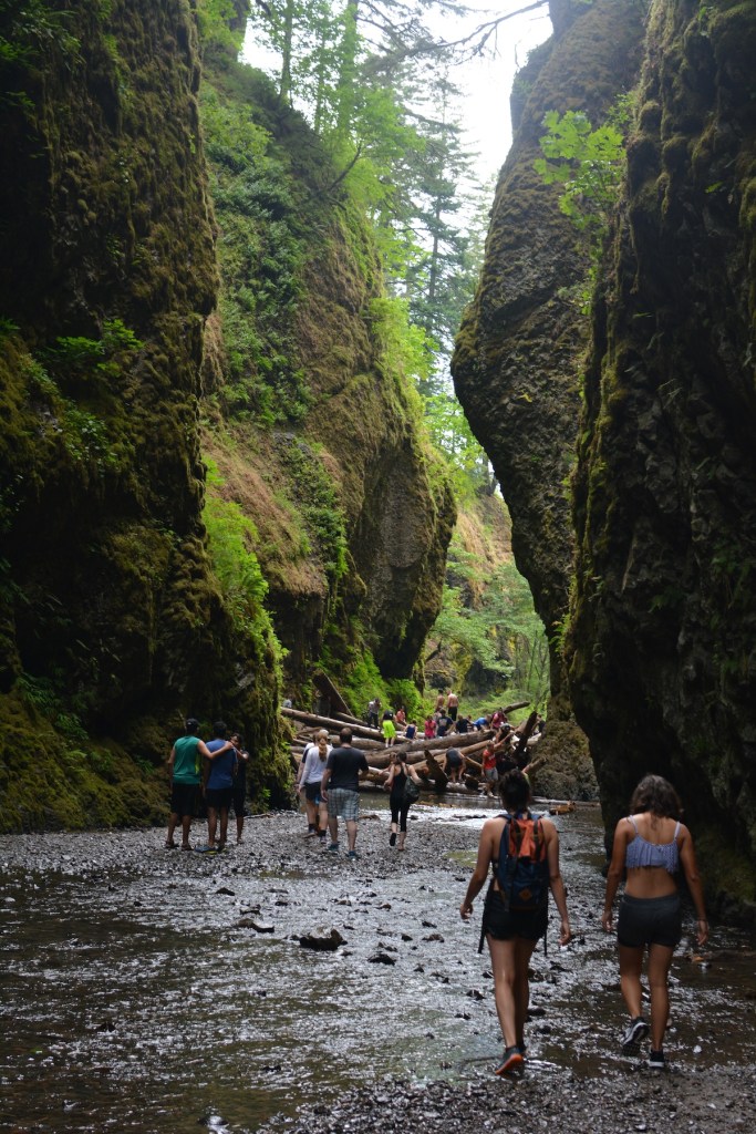 Lower Oneonta Falls Trail Image
