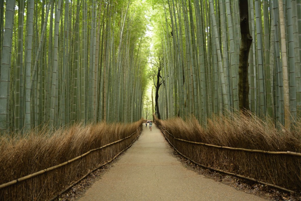 Arashiyama Bamboo Forest, Kyoto Japan