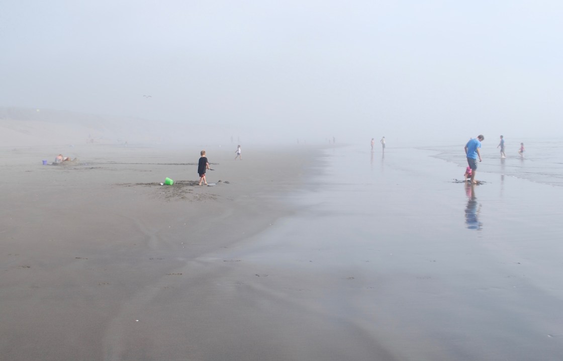 Foggy shore in the Oregon Coast