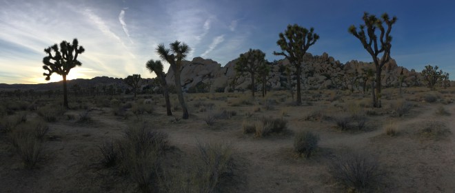 5DDAC375-8B45-4067-9280-7E6D3C1FEF91