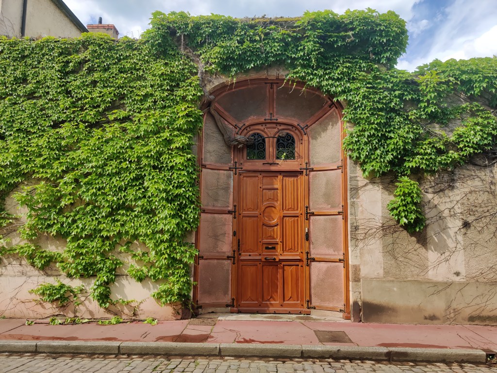 Beautiful ornate old wooden door in Beaune, France surrounded by green ivy.