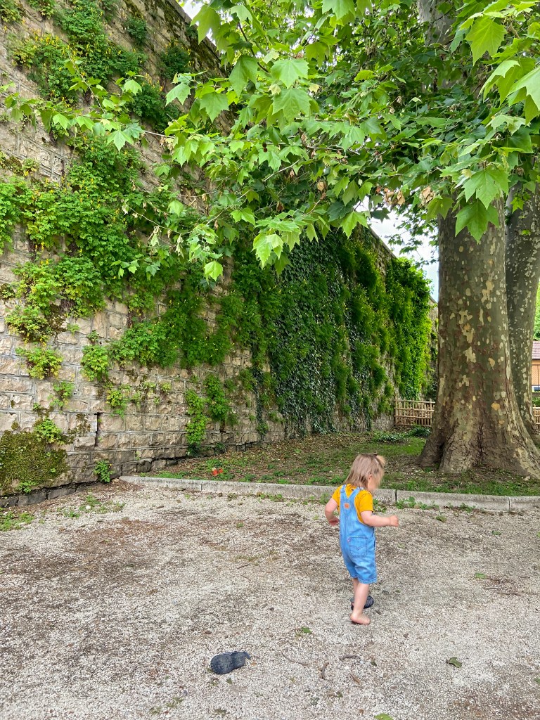 Toddler who lost a shoe playing in gravel beneath a large green tree in Beaune, France. 
