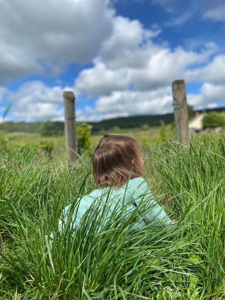 Toddler wearing a sage green outfit sitting in tall grass in a vineyard in Burgundy, France. A very blue sky overhead. 